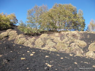 llone monte Zappinazzo-04-11-2012 09-56-22